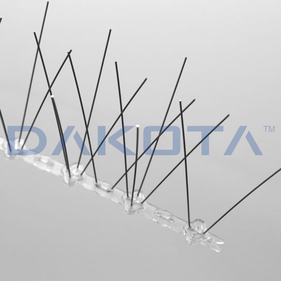 Anti Bird Spikes / Pigeon Spikes