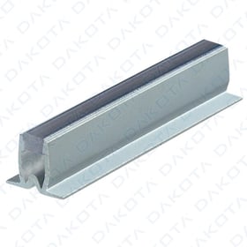 Κοινή σιλικόνη